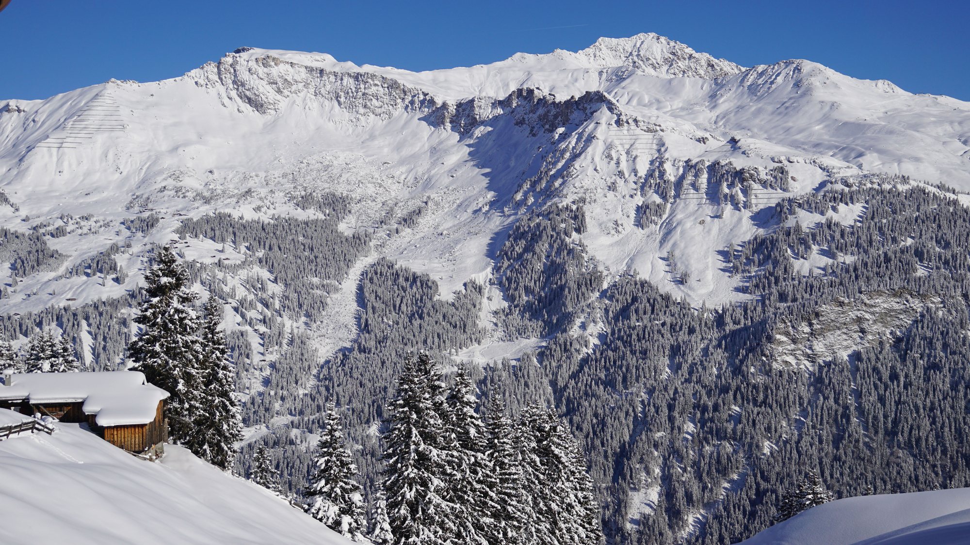 Davos Alps — 24/7 Freeride Davos