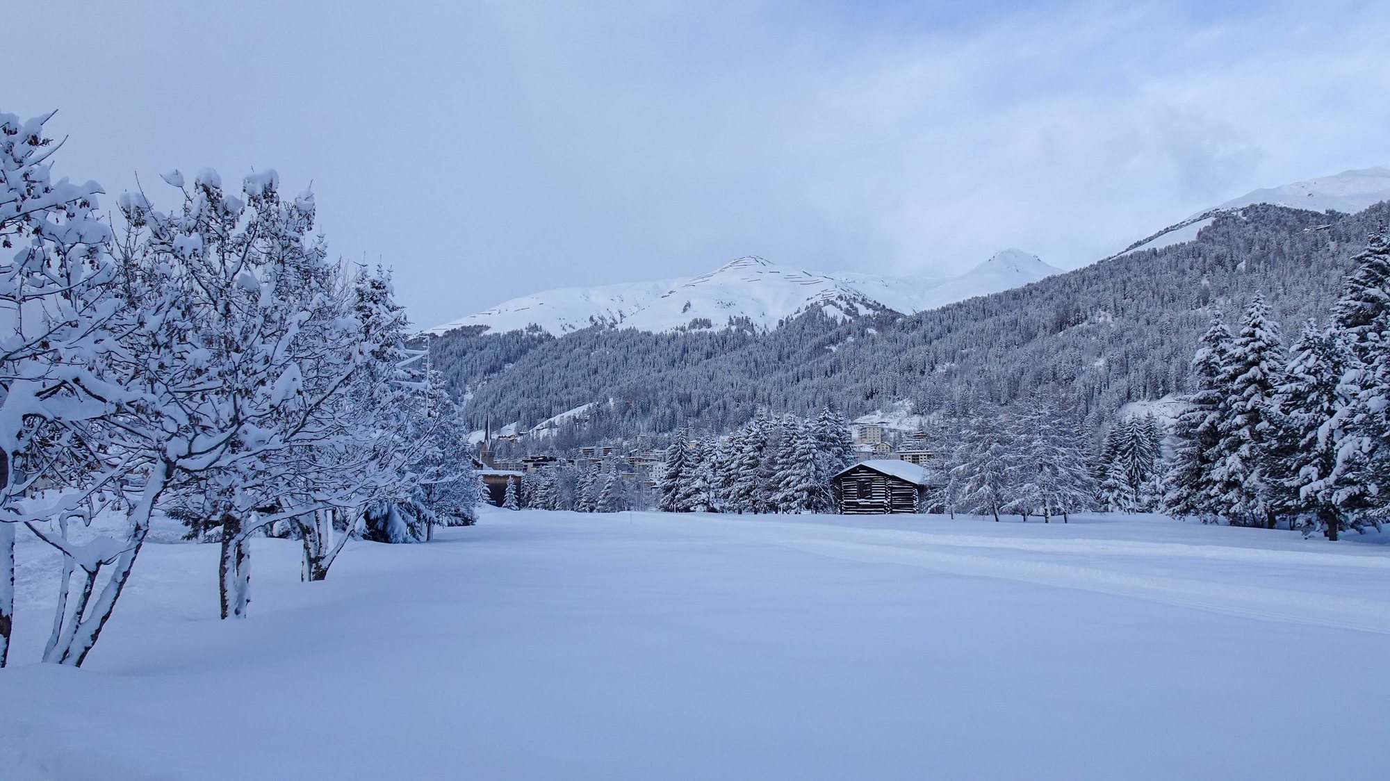 Árvores cobertas de neve e montanhas em Davos