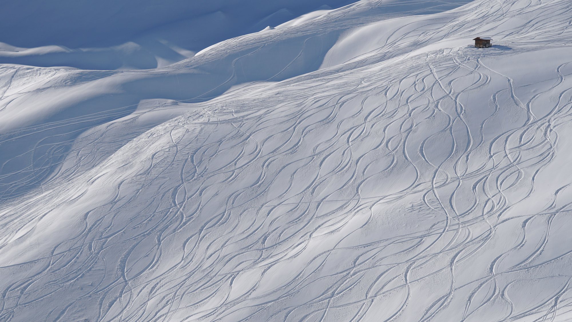 Powder Day — 24/7 Freeride Davos