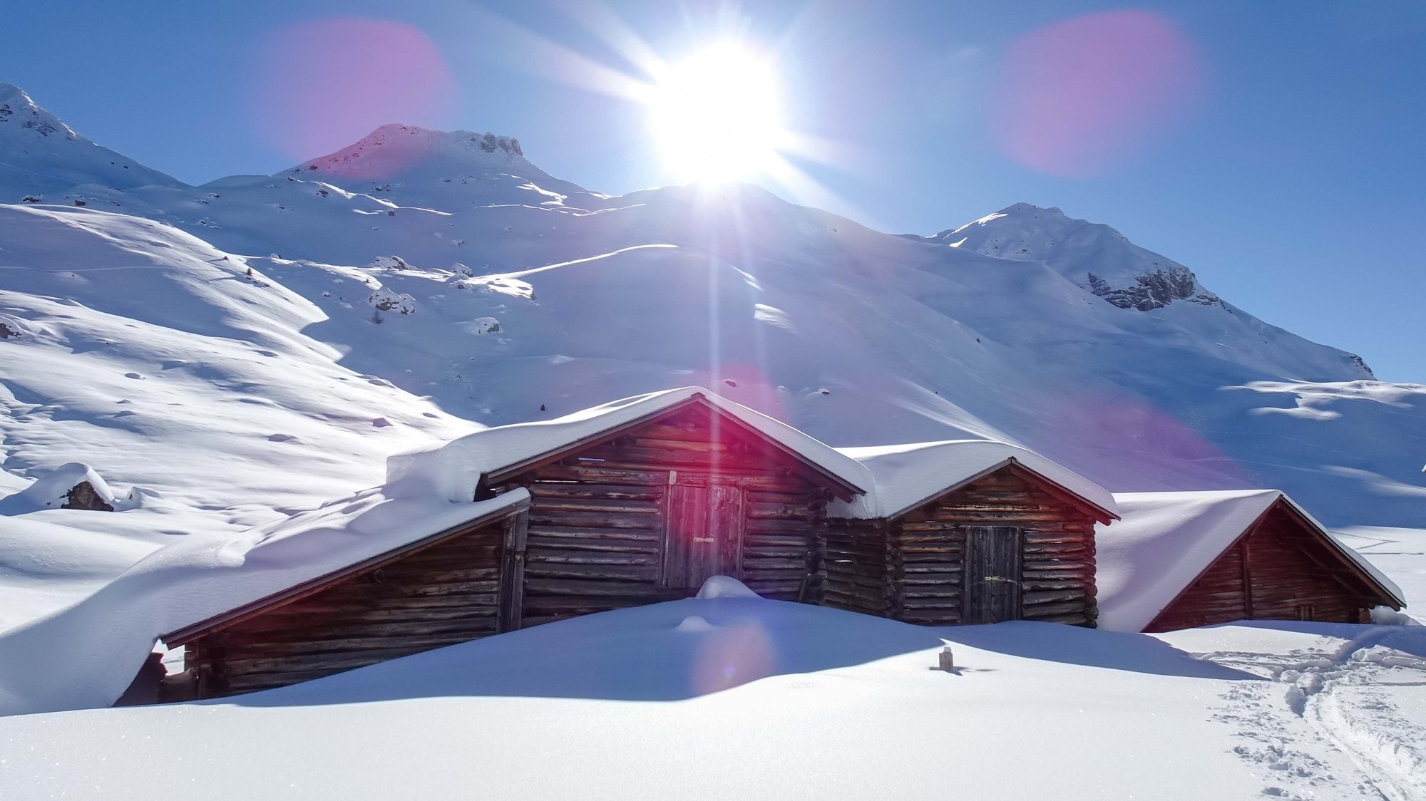 Alpes — 24/7 Freeride Davos