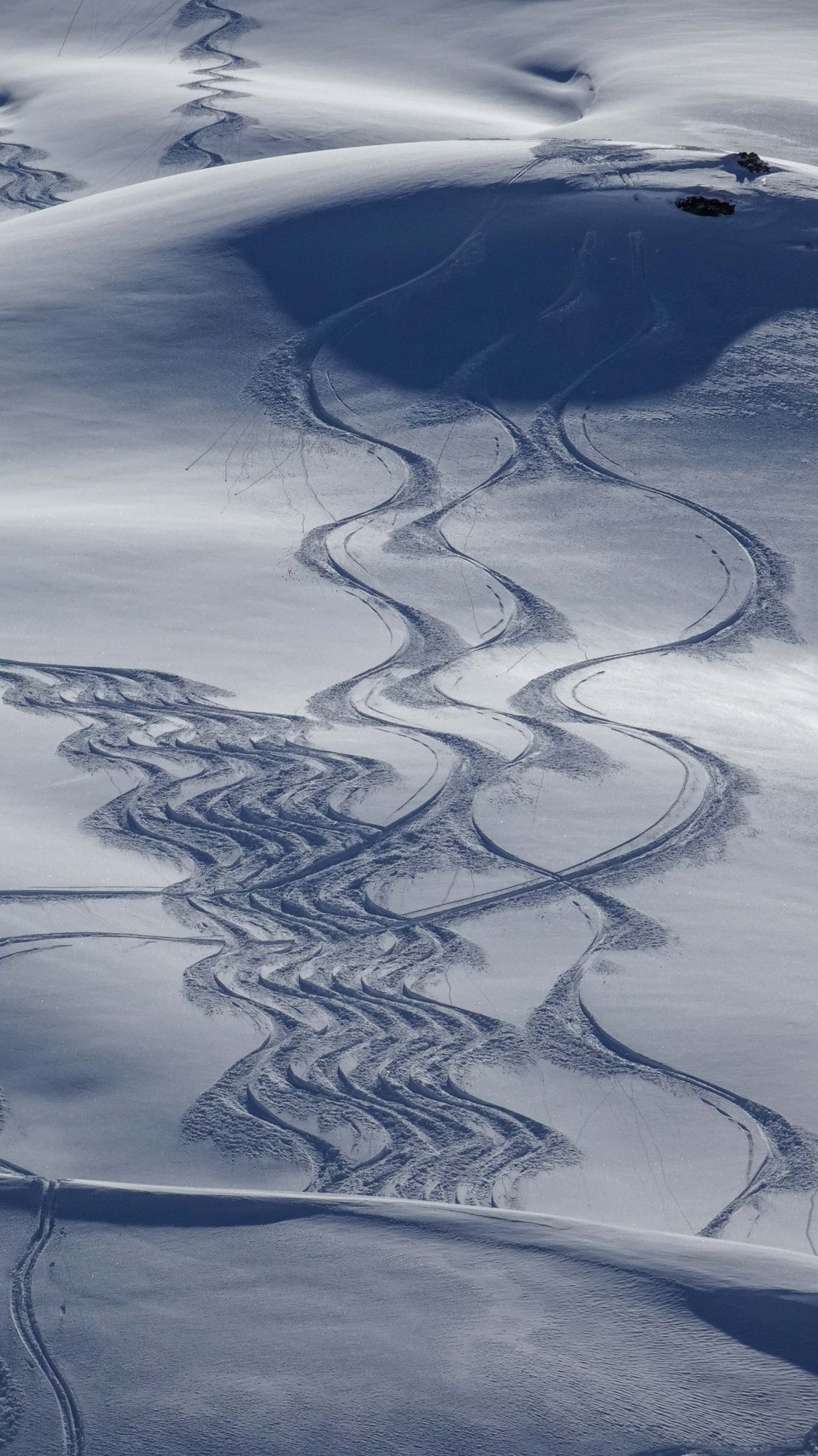 Backcountry — 24/7 Freeride Davos