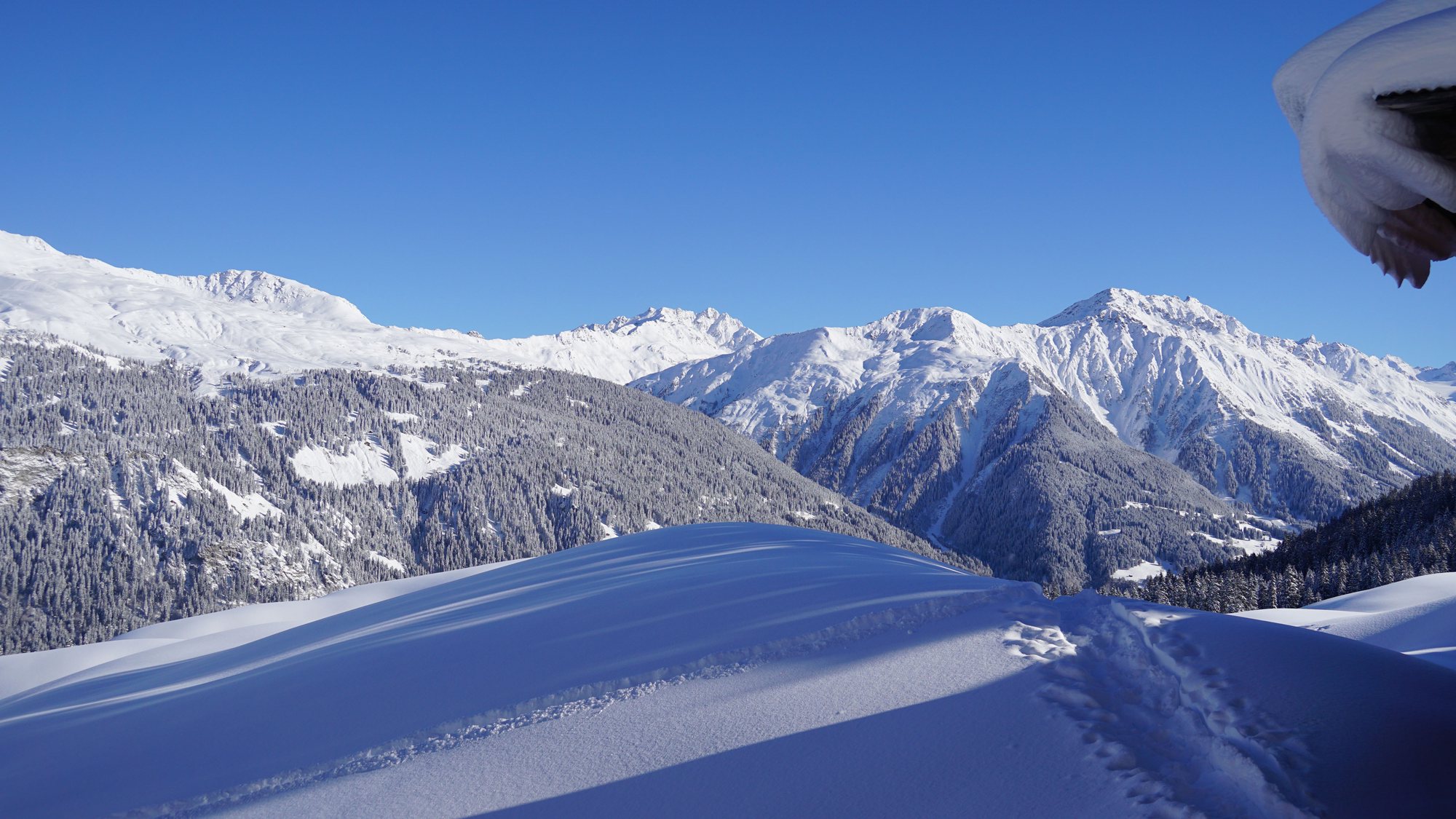 Neve · Alps — 24/7 Freeride Davos
