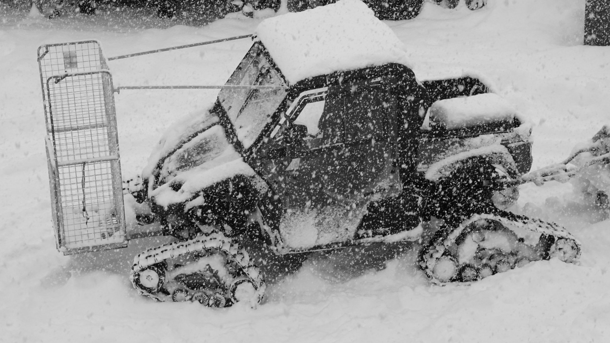 Snow Session — 24/7 Freeride Davos