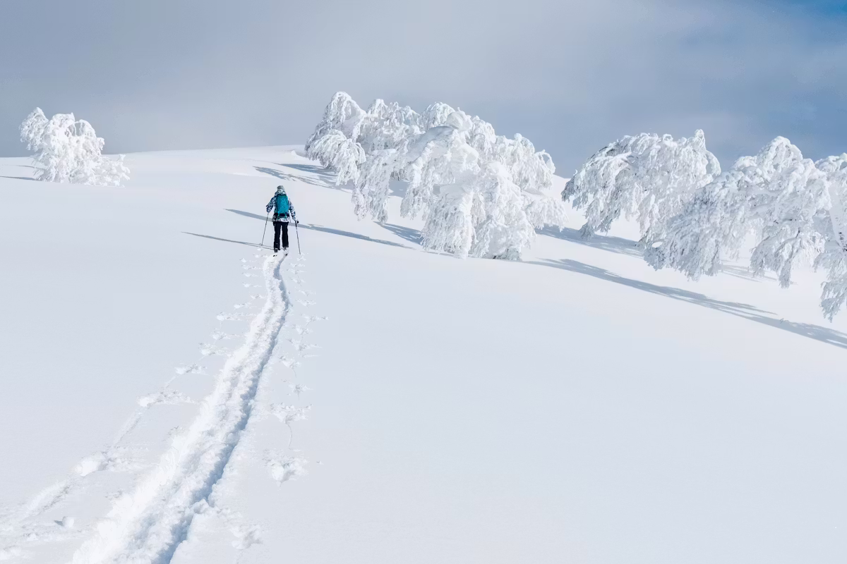 Powder profundo em Hokkaido
