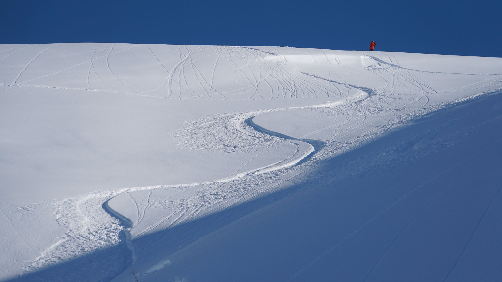 Linha Perfeita — 24/7 Freeride Davos